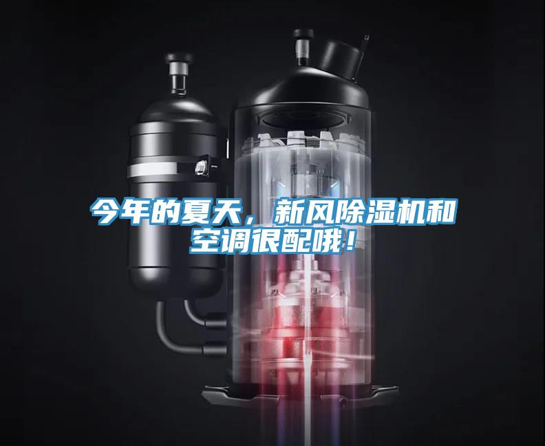 今年的夏天，新風(fēng)除濕機(jī)和空調(diào)很配哦！