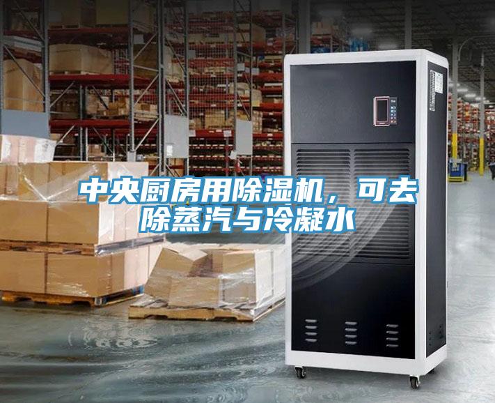 中央廚房用除濕機(jī)，可去除蒸汽與冷凝水