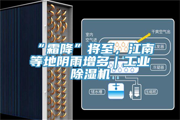 “霜降”將至，江南等地陰雨增多｜工業(yè)除濕機