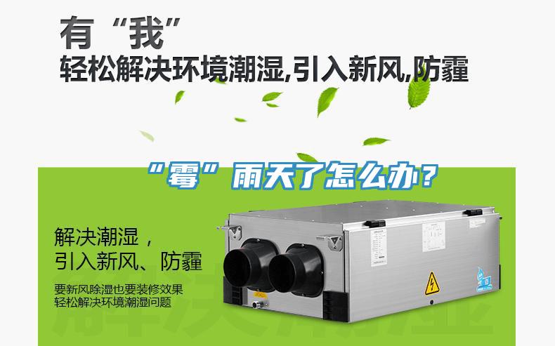 “霉”雨天了怎么辦？
