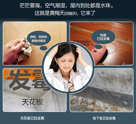 家庭別墅的地下室、衛(wèi)生間、儲物室等該如何除濕？