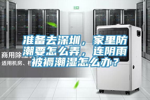 準備去深圳，家里防潮要怎么弄，連陰雨被褥潮濕怎么辦？