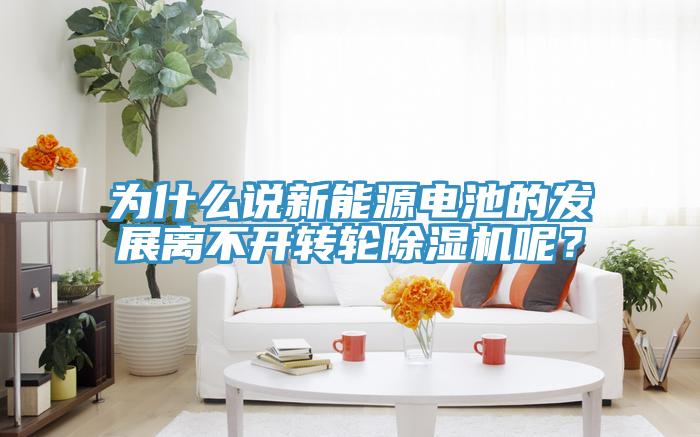 為什么說新能源電池的發(fā)展離不開轉(zhuǎn)輪除濕機(jī)呢？