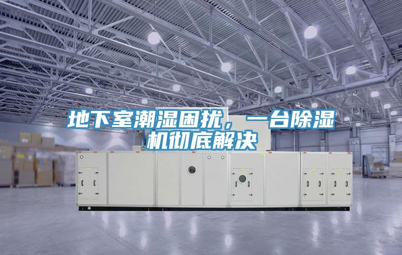 地下室潮濕困擾，一臺(tái)除濕機(jī)徹底解決