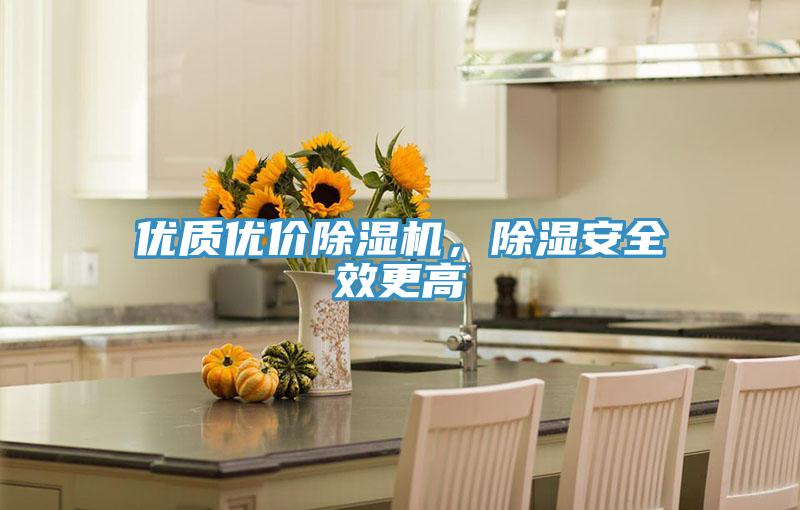 優(yōu)質(zhì)優(yōu)價除濕機，除濕安全效更高