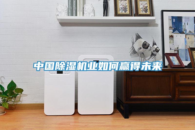 中國(guó)除濕機(jī)業(yè)如何贏(yíng)得未來(lái)