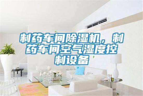 制藥車間除濕機(jī)，制藥車間空氣濕度控制設(shè)備