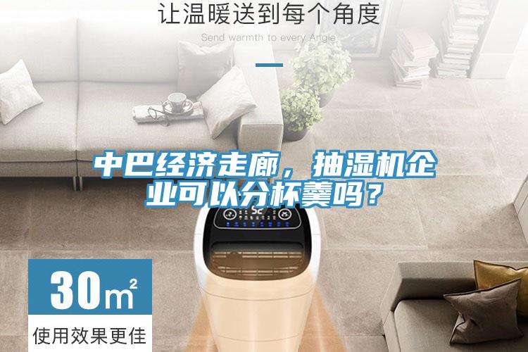 中巴經(jīng)濟走廊，抽濕機企業(yè)可以分杯羹嗎？