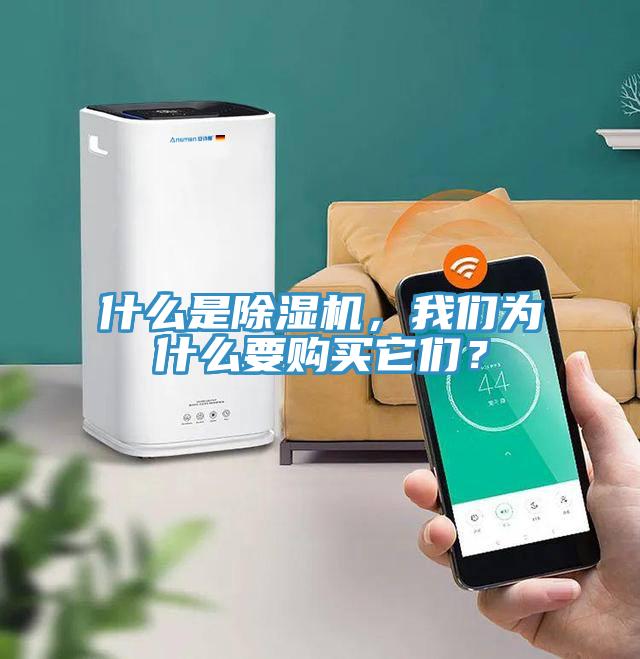 什么是除濕機(jī)，我們?yōu)槭裁匆?gòu)買它們？