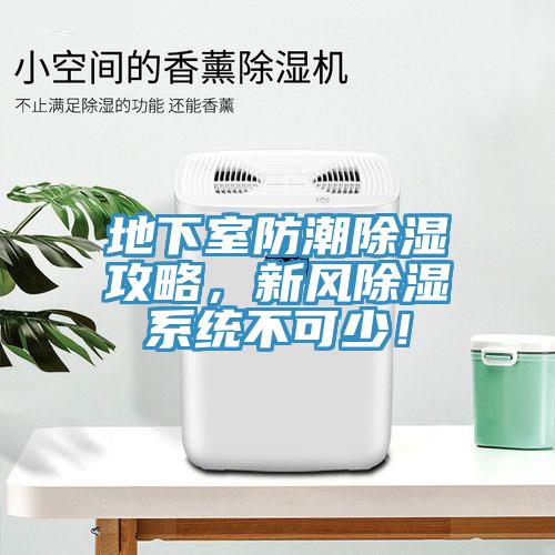 地下室防潮除濕攻略,新風(fēng)除濕系統(tǒng)不可少!