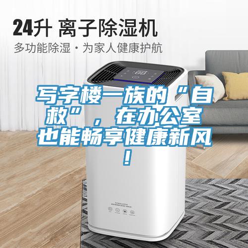 寫字樓一族的“自救”，在辦公室也能暢享健康新風！