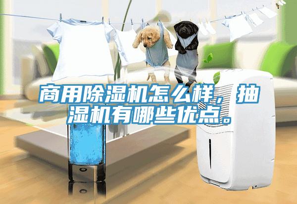 商用除濕機(jī)怎么樣，抽濕機(jī)有哪些優(yōu)點(diǎn)。