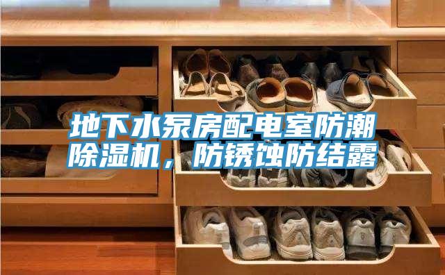 地下水泵房配電室防潮除濕機(jī)，防銹蝕防結(jié)露