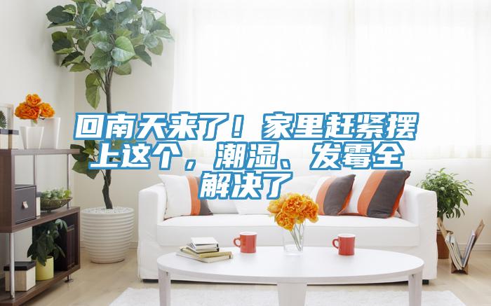 回南天來了！家里趕緊擺上這個，潮濕、發(fā)霉全解決了