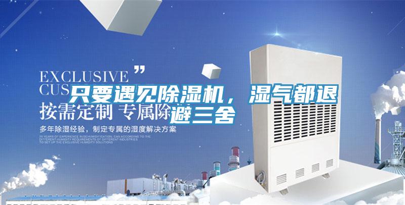 只要遇見除濕機，濕氣都退避三舍