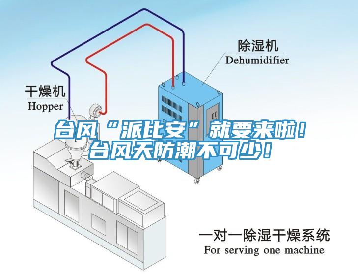 臺風“派比安”就要來啦！臺風天防潮不可少！