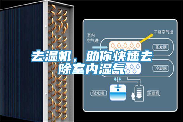 去濕機，助你快速去除室內(nèi)濕氣