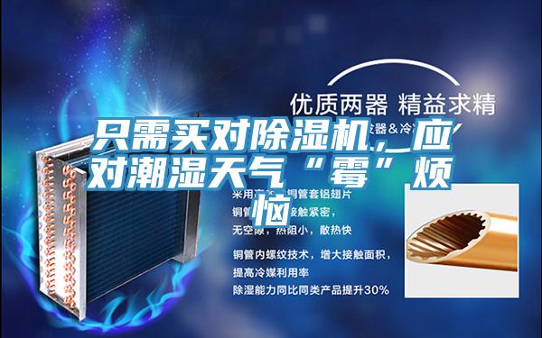 只需買對除濕機，應對潮濕天氣“霉”煩惱