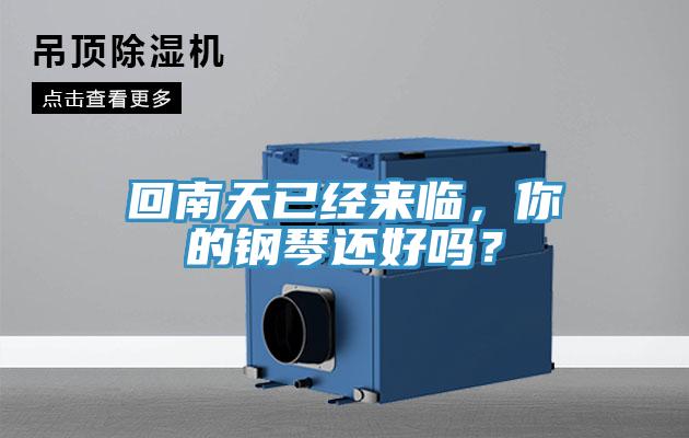 回南天已經(jīng)來(lái)臨，你的鋼琴還好嗎？