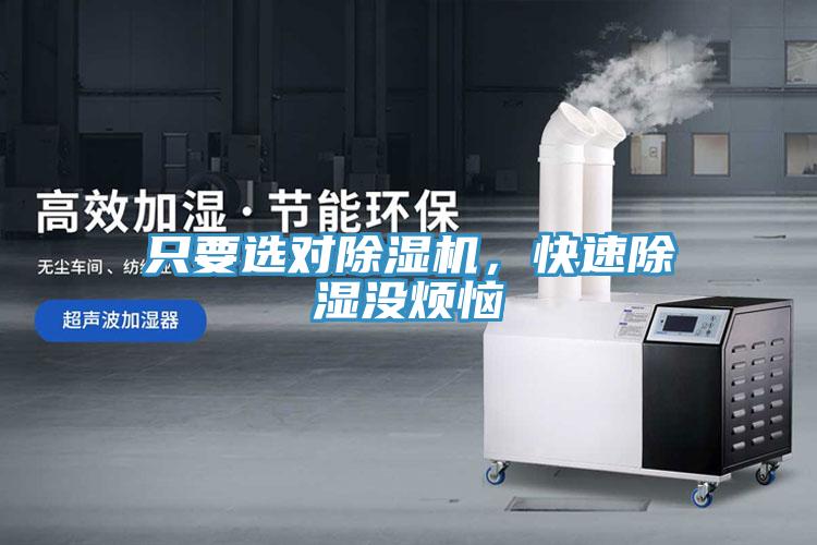 只要選對除濕機，快速除濕沒煩惱