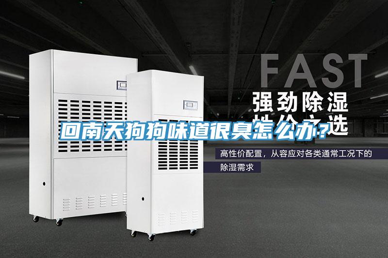 回南天狗狗味道很臭怎么辦？
