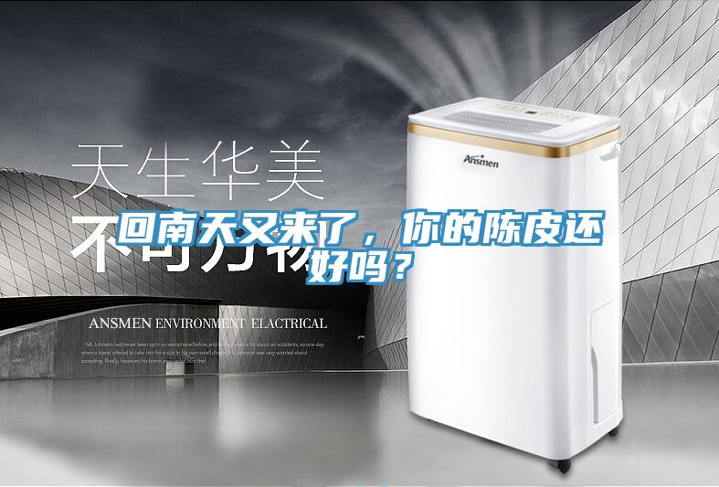 回南天又來了，你的陳皮還好嗎？