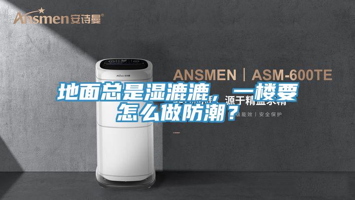 地面總是濕漉漉，一樓要怎么做防潮？