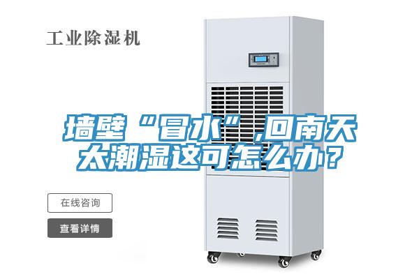 墻壁“冒水”,回南天太潮濕這可怎么辦？