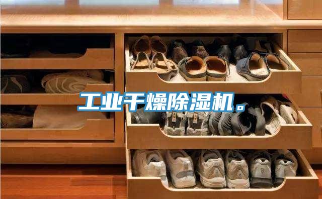 工業(yè)干燥除濕機(jī)。