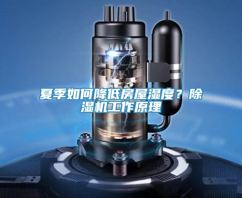 夏季如何降低房屋濕度？除濕機工作原理