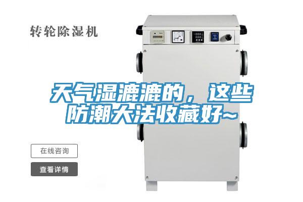 天氣濕漉漉的，這些防潮大法收藏好~