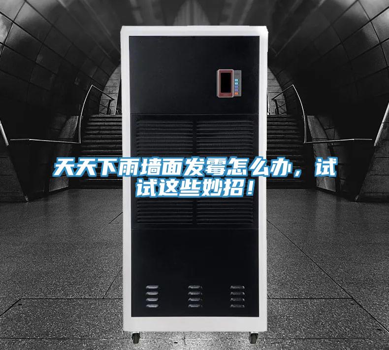 天天下雨墻面發(fā)霉怎么辦，試試這些妙招！