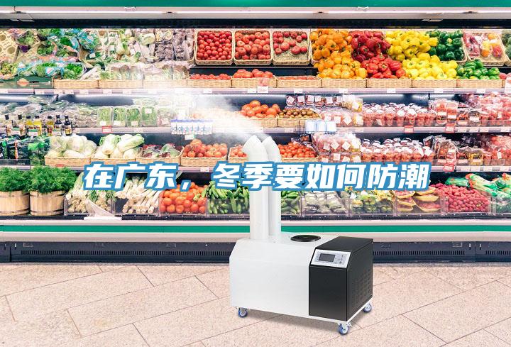 在廣東，冬季要如何防潮