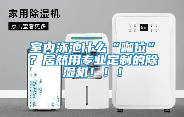 室內(nèi)泳池什么“咖位”？居然用專業(yè)定制的除濕機?。。?/></p>
                            <p style=