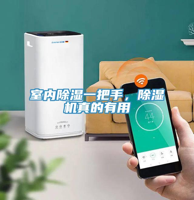 室內(nèi)除濕一把手，除濕機真的有用