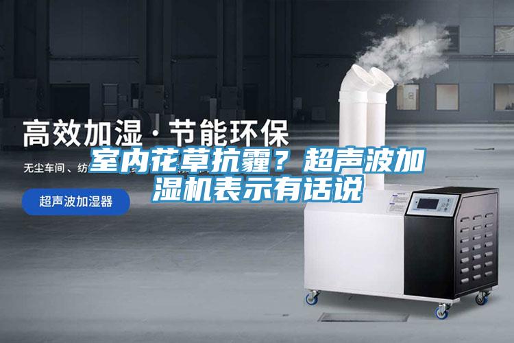 室內(nèi)花草抗霾？超聲波加濕機表示有話說