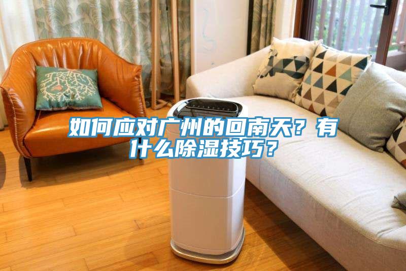 如何應(yīng)對(duì)廣州的回南天？有什么除濕技巧？