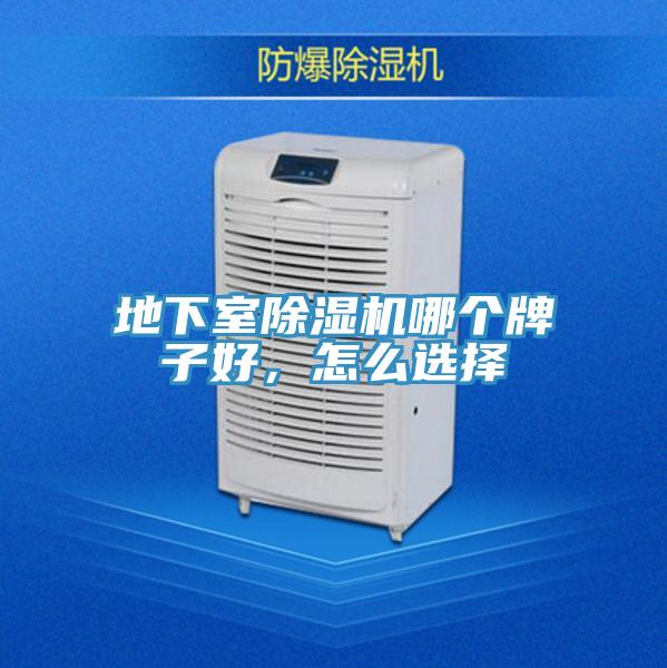 地下室除濕機哪個牌子好，怎么選擇