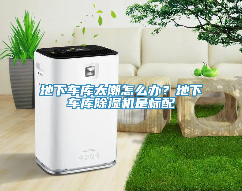 地下車庫太潮怎么辦？地下車庫除濕機是標配