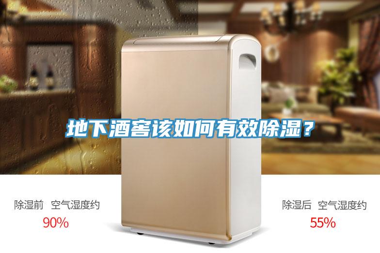地下酒窖該如何有效除濕？
