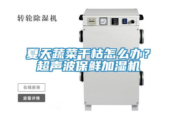 夏天蔬菜干枯怎么辦？超聲波保鮮加濕機