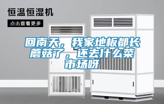 回南天，我家地板都長(zhǎng)蘑菇了，還去什么菜市場(chǎng)呀