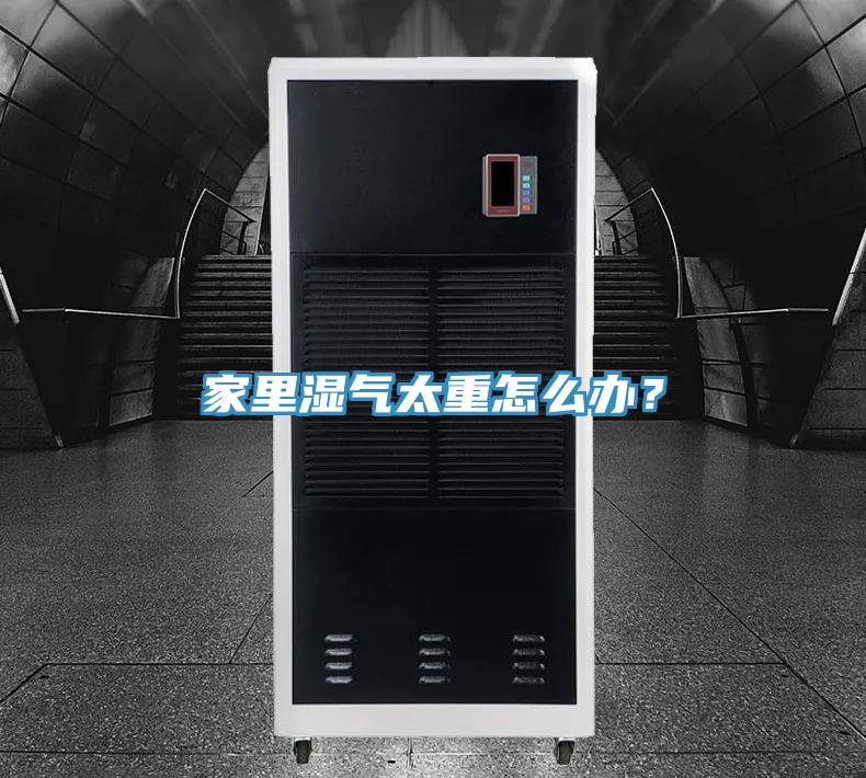 家里濕氣太重怎么辦？