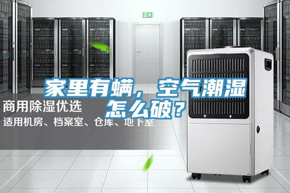 家里有螨，空氣潮濕怎么破？