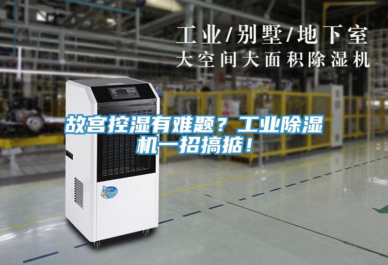 故宮控濕有難題？工業(yè)除濕機(jī)一招搞掂！