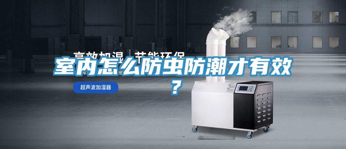 室內(nèi)怎么防蟲防潮才有效？