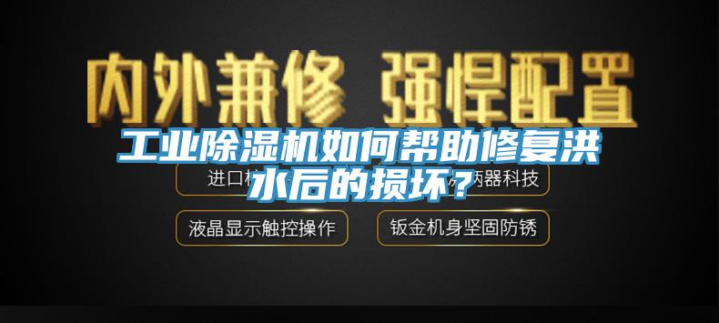 工業(yè)除濕機(jī)如何幫助修復(fù)洪水后的損壞？