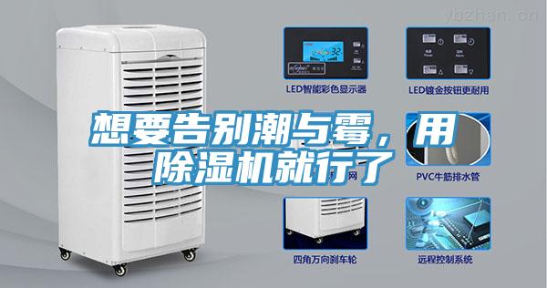 想要告別潮與霉，用除濕機就行了