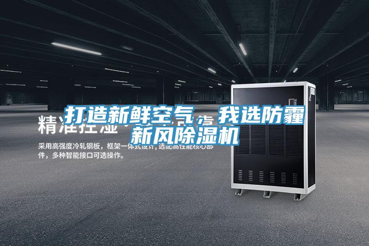打造新鮮空氣，我選防霾新風(fēng)除濕機(jī)