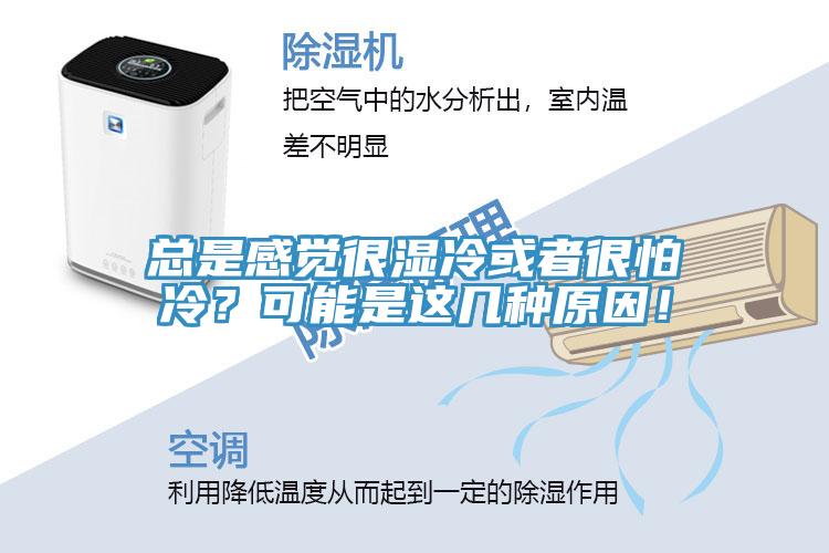 總是感覺(jué)很濕冷或者很怕冷？可能是這幾種原因！